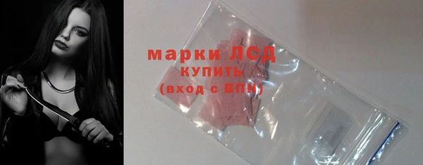 крисы Осинники