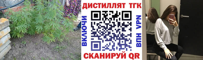 Дистиллят ТГК жижа  продажа наркотиков  мега онион  Кандалакша 