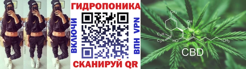 Бошки марихуана White Widow  купить  цена  площадка как зайти  Кандалакша 